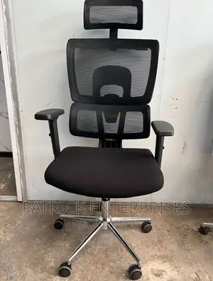 Executive Imported Orthopedic Office Chair
