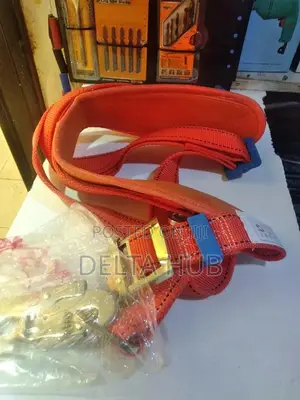 Suitable Safety Harness
