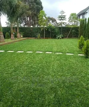 Pemba Grass Packed in 50 Kg Bag.