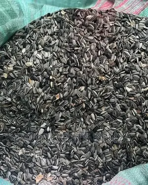 Sunflower Seed Mix for Birds and Parrots