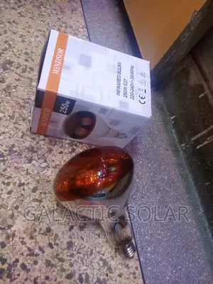 E27 Chicken Bulb Infrared