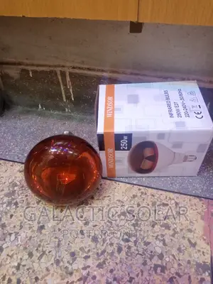 Infrared Chicken Bulb