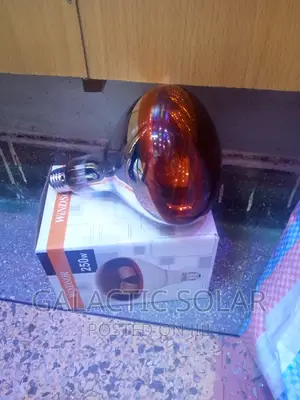 E27 Chicken Bulb