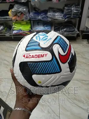 Nike Academy Football Ball
