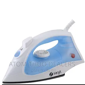 Steam Iron Box Zaryt