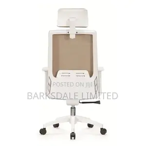 White Office Chair Ergonomic Back Mesh Arms Lumbar Support