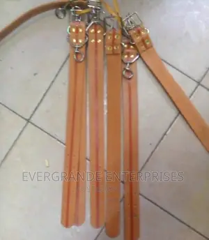 Dog Collar, Dog Collar, Dog Collar