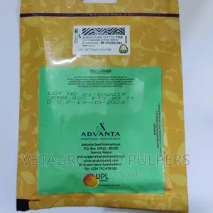 Advanta Swisschard Fordhook Giant Spinach Seeds