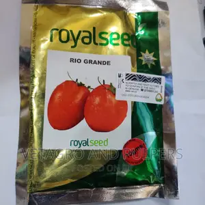 Royal Seeds Rio Grande Tomato Seeds
