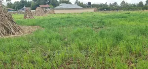 Plots For Sale In Outspan Eldoret