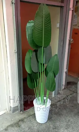 Artificial Banana Plant Comes With Pebbles and Bucket