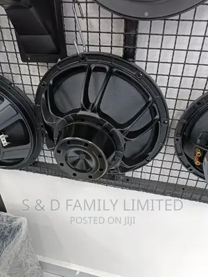 Derwel Neodymium 12 Inch Speaker