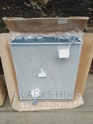 Dyna Radiator on Sale