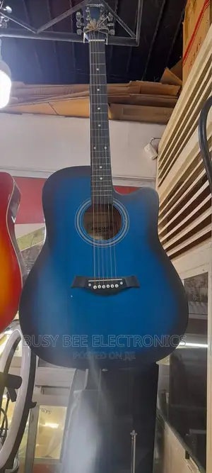 Blue Acoustic Guitar