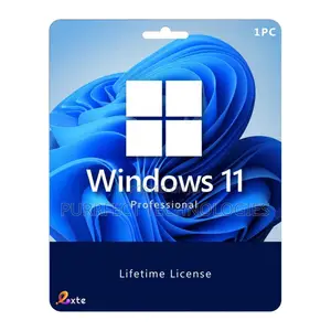 Windows 11 Professional