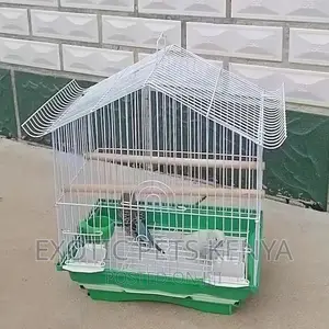 Bird Cages for Sale in Kenya