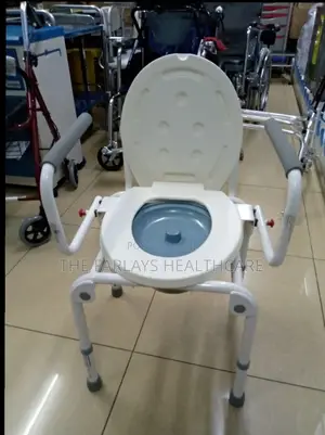 Commode Seat With Flip Armrests.