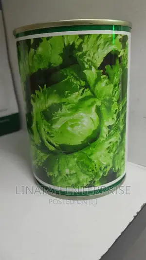 Lettuce Technism 100gms