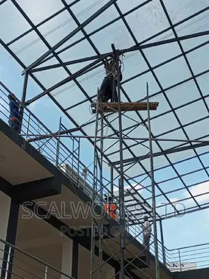 Scaffolds for Rental