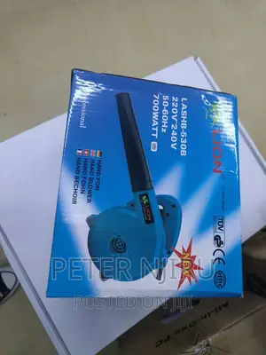Best Lion Hand Blower Best Price