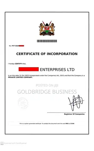 Professional Company Registration Services