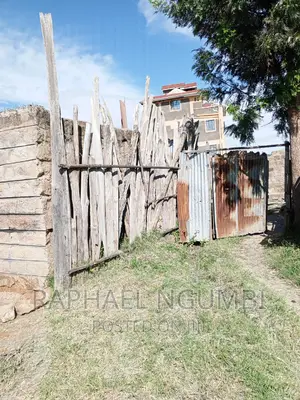 50*100 Plot