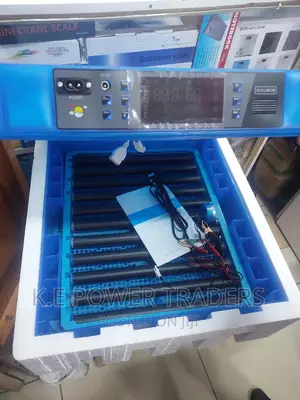 64 Egg Incubator
