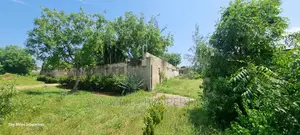 Serena, 1/2 Acre Land on Sale
