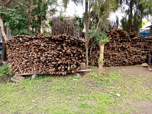 Makuti and Makonge Suppliers Kenya