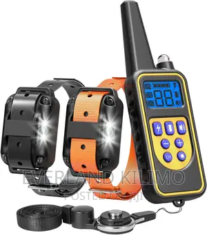 Remote Dog Training Collar - Single