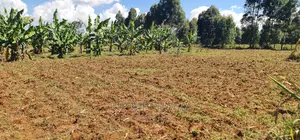 Affordable 2 Acres Land For Sale In Kapseret Eldoret