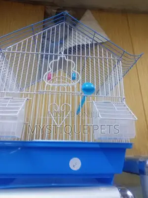 Bird _Cages