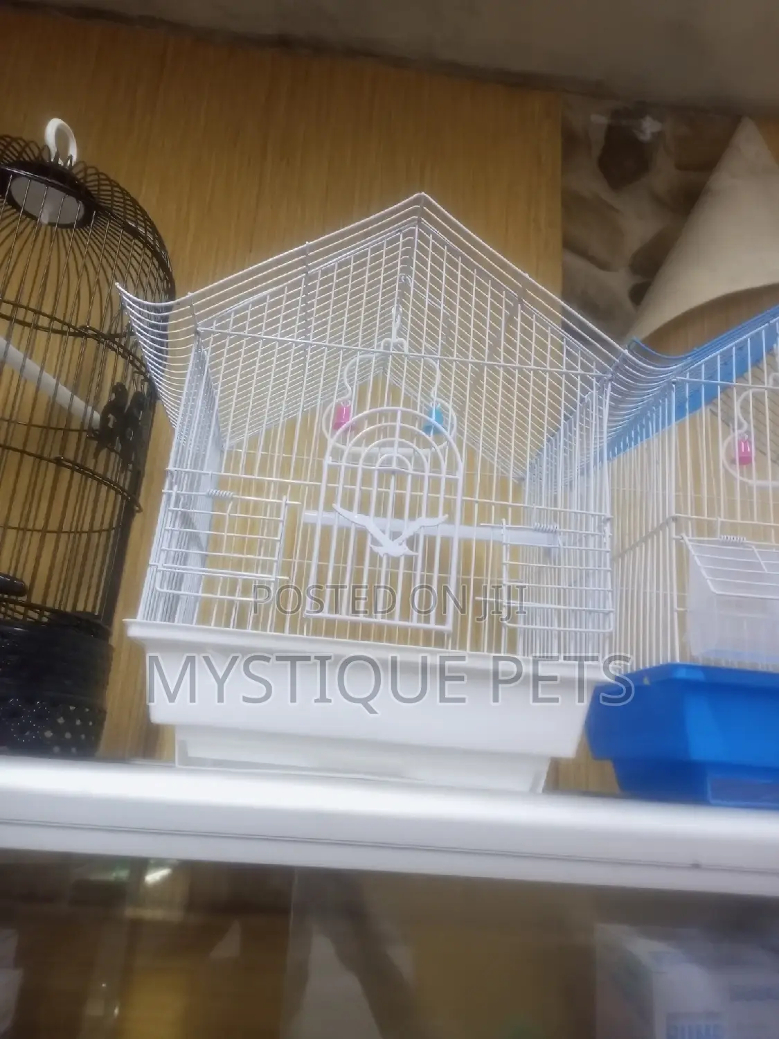 Bird _Cages