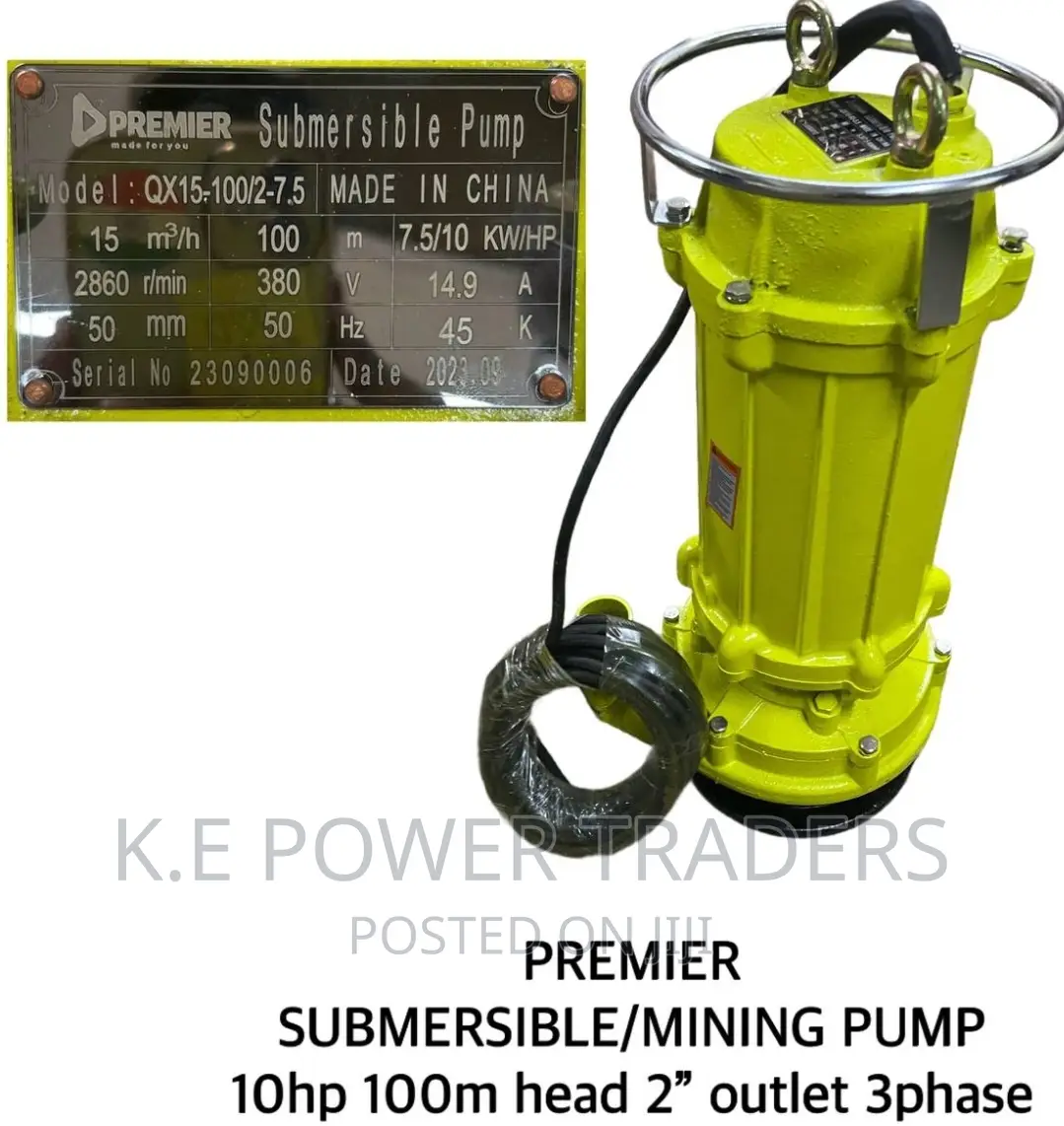 Premier 10hp Submersible Water Pump