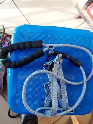 Dog Leash .