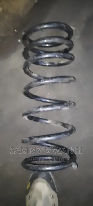 Prado 150 Rear Springs 