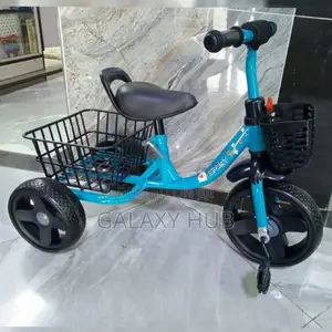 Executive Tricycle With a Carrier Available