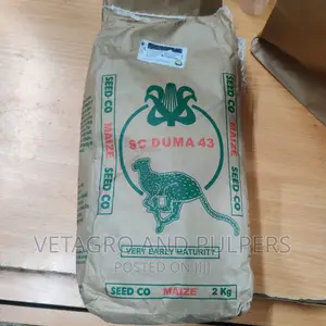 Sc Duma 43 (Sc 403) Maize Seeds 2kg