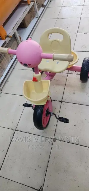 Tricycle Kids Bike