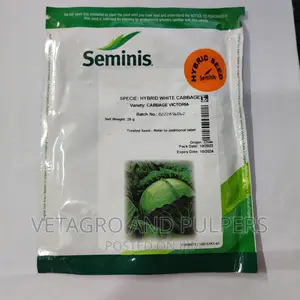 Hybrid White Cabbage Victoria Seeds