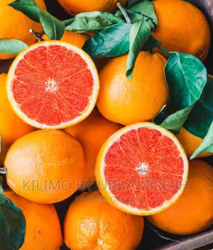 Caracara Orange Seedling ( Sweet ) Moq 5