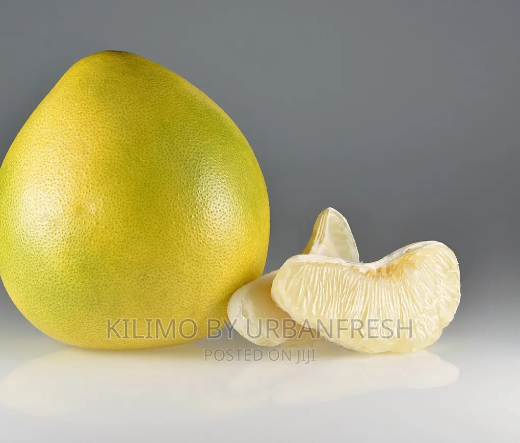 Pomelo Orange Seedlings Moq 5.