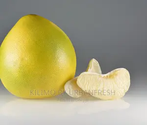 Pomelo Orange Seedlings Moq 5.