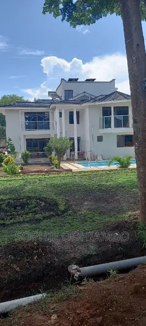 Diani Studios