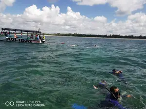 Snorkelling at Watamu Marine Park