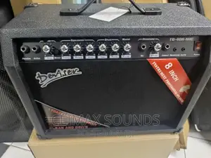 Guitar Combo Amplifier TG40 Mic