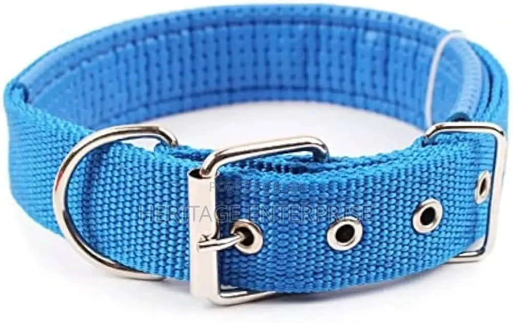 Dog Collar Safety Release.