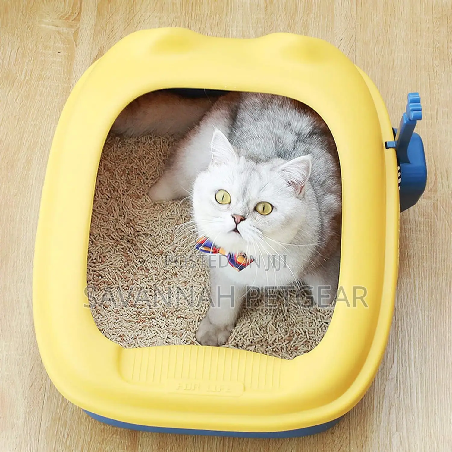 Mini Open Cat Litter Box + Free Litter Scoop