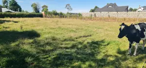 1⁄4 Plot Or Salein Llula Eldoret