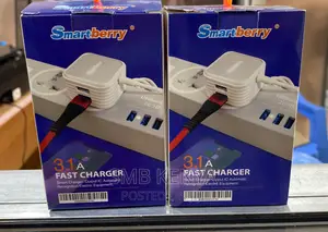 Android Fast Charger Dual Port 3.1A